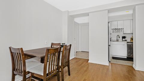 40 E 9th St #1305, Chicago, IL 60605 photo 7