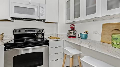 40 E 9th St #1305, Chicago, IL 60605 photo 10
