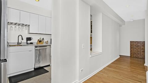 40 E 9th St #1305, Chicago, IL 60605 photo 8
