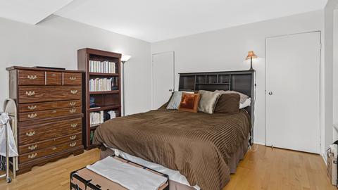 40 E 9th St #1305, Chicago, IL 60605 photo 15