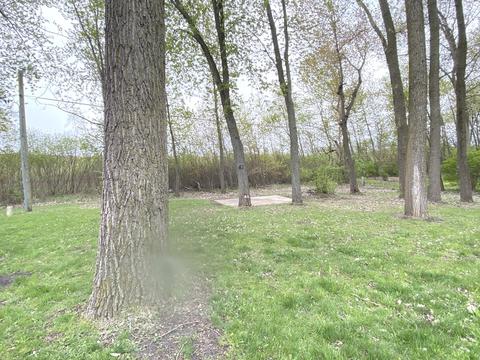 1218 Erickson Dr, Kankakee, IL 60901 photo 33