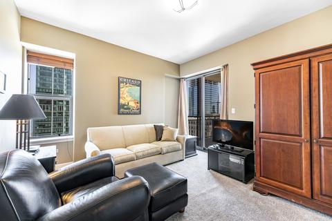 41 E 8th St #3003, Chicago, IL 60605 photo 20