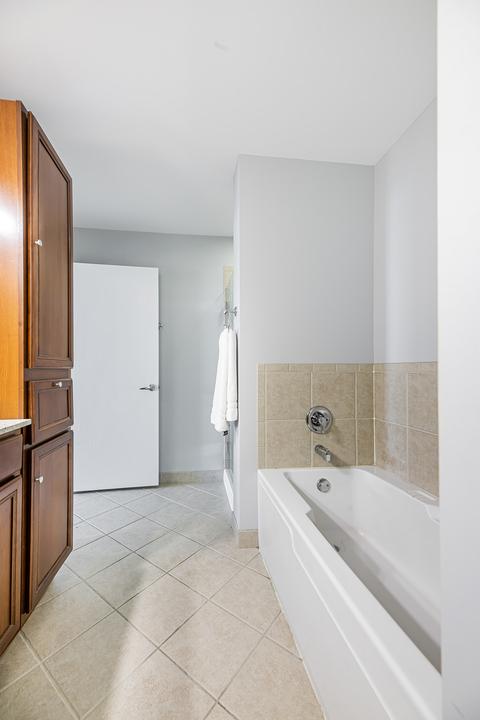 41 E 8th St #3003, Chicago, IL 60605 photo 19