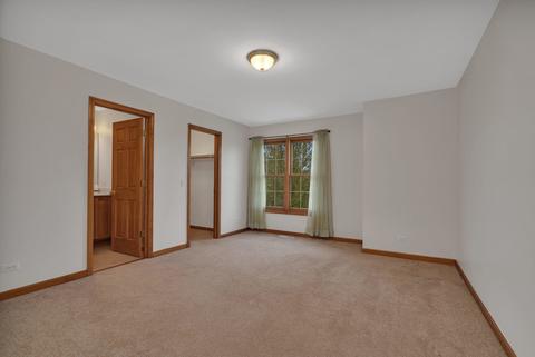 13419 Summergrove Dr, Plainfield, IL 60585 photo 41