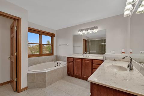 13419 Summergrove Dr, Plainfield, IL 60585 photo 30