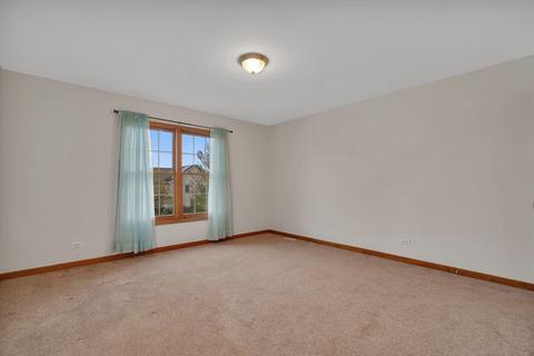 13419 Summergrove Dr, Plainfield, IL 60585 photo 39