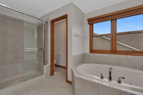 13419 Summergrove Dr, Plainfield, IL 60585 photo 32