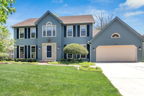 420 Apple River Dr, Naperville, IL 60565