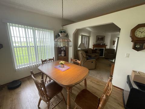 4908 Colonial Dr, Monee, IL 60449 photo 19
