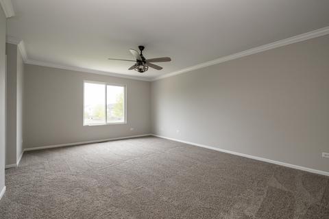 25033 Grant Ct, Plainfield, IL 60544 photo 16