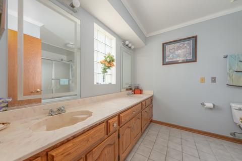 21198 Lisa Ln, Steger, IL 60475 photo 17