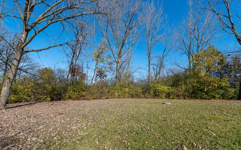 21198 Lisa Ln, Steger, IL 60475 photo 35