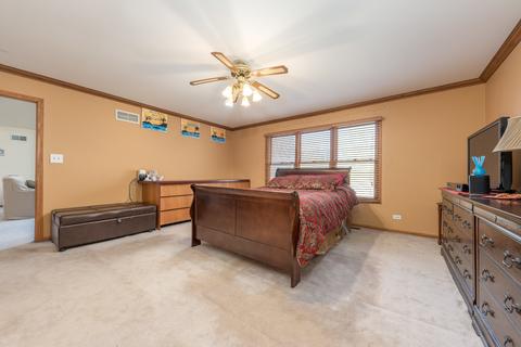 21198 Lisa Ln, Steger, IL 60475 photo 16