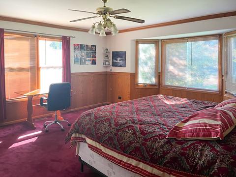21198 Lisa Ln, Steger, IL 60475 photo 20