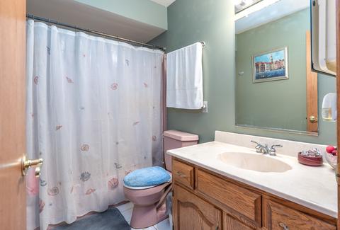 21198 Lisa Ln, Steger, IL 60475 photo 25