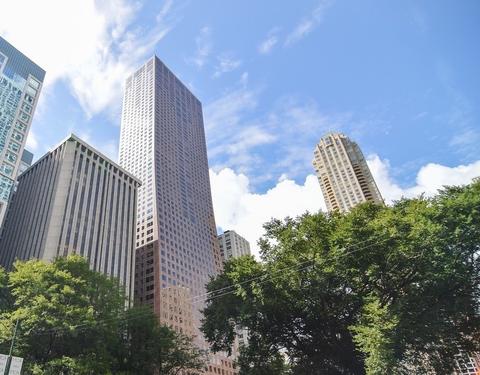161 E Chicago Ave #51A, Chicago, IL 60611