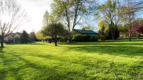 20379 Cedar Ave, Downs, IL 61736 photo 17
