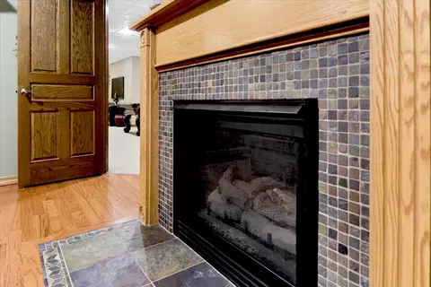 20379 Cedar Ave, Downs, IL 61736 photo 87