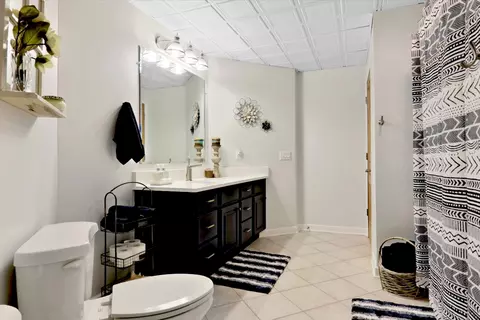 20379 Cedar Ave, Downs, IL 61736 photo 84