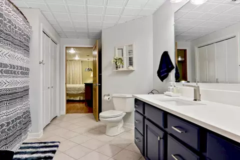 20379 Cedar Ave, Downs, IL 61736 photo 82