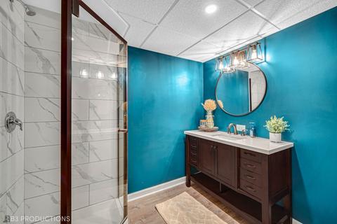 4309 Mallard Ln, Plainfield, IL 60586 photo 20