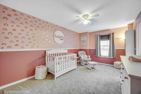 4309 Mallard Ln, Plainfield, IL 60586 photo 14
