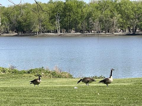 108 E 2nd St, Depue, IL 61322 photo 3