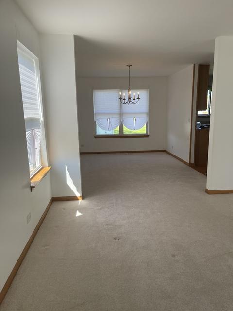 Undisclosed, Matteson, IL 60443 photo 6