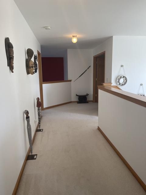 Undisclosed, Matteson, IL 60443 photo 14