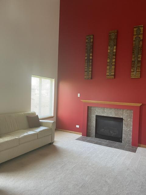 Undisclosed, Matteson, IL 60443 photo 12