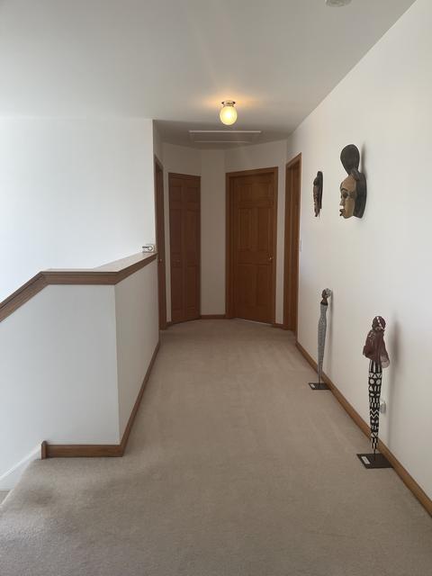 Undisclosed, Matteson, IL 60443 photo 13