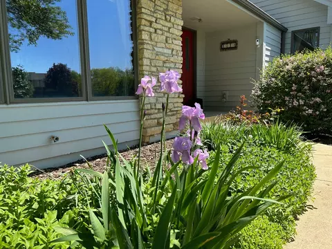 1810 Hilltop Rd, Elgin, IL 60120 photo 2