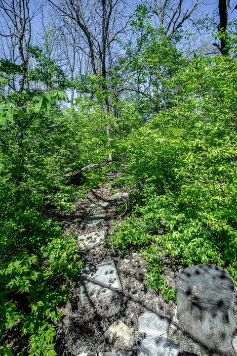 750 Braewood Dr, Algonquin, IL 60102 photo 42
