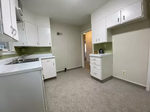 121 E North St, Dwight, IL 60420 photo 8