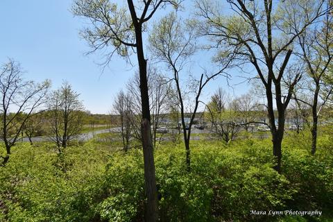 1787 Rizzi Ln, Bartlett, IL 60103 photo 47