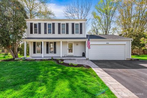 1225 Old Mill Ln, Algonquin, IL 60102 photo 1