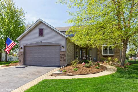 3001 Harborside Ct, Plainfield, IL 60586 photo 1