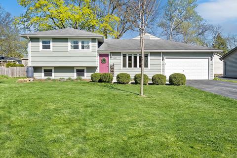 6091 Chase Ave, Downers Grove, IL 60516