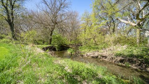 5598 E Holcomb Rd, Oregon, IL 61061 photo 32