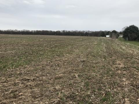 550 E Southmor Rd, Morris, IL 60450 photo 10