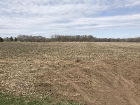 550 E Southmor Rd, Morris, IL 60450 photo 7