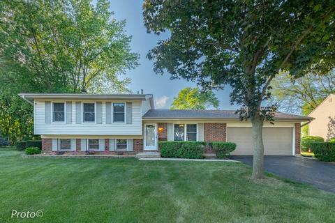 540 Dee Ln, Roselle, IL 60172 photo 1