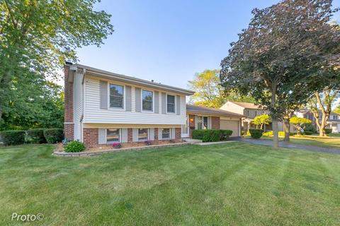 540 Dee Ln, Roselle, IL 60172 photo 32