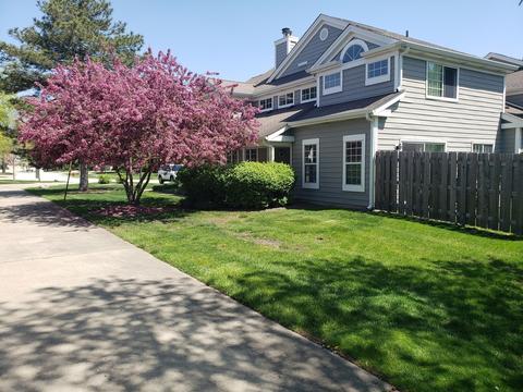 267 Woodstone Cir, Buffalo Grove, IL 60089