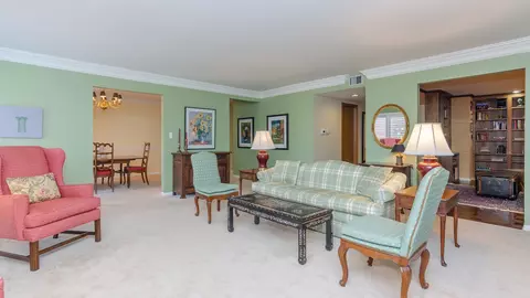 7575 Lake St #2D, River Forest, IL 60305 photo 6
