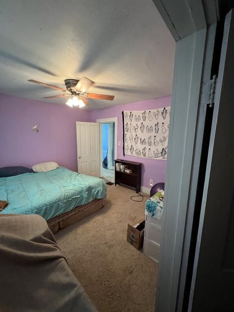412 Ross St, Walnut, IL 61376 photo 14