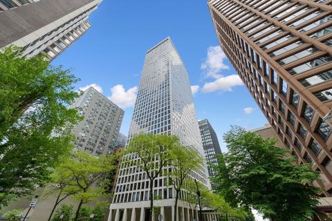 260 E Chestnut St #2901, Chicago, IL 60611