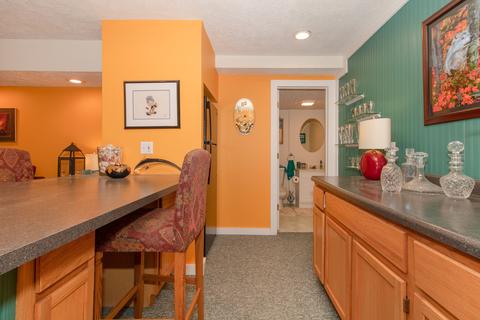 203 Park Drag Ln, Normal, IL 61761 photo 46