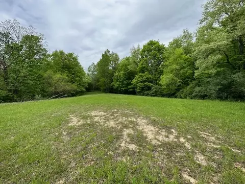 140 141 Kickapoo Dr, Danvers, IL 61732 photo 2