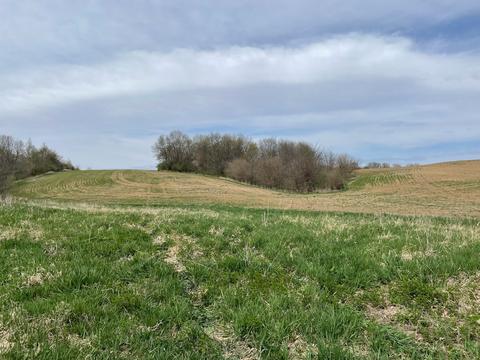 00 Timber Rd, Kewanee, IL 61443 photo 13